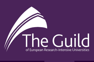 logo the guild